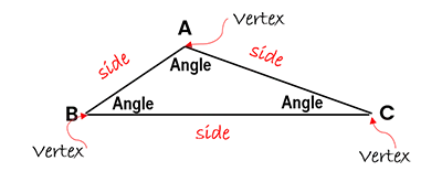 Vertices, sides, and angles of a triangle.